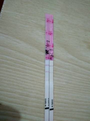 journal_insert_pic_780500104