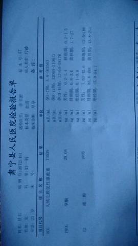 journal_insert_pic_781177312