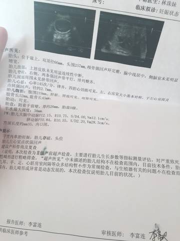 journal_insert_pic_781045567
