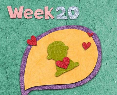 journal_insert_pic_780670182