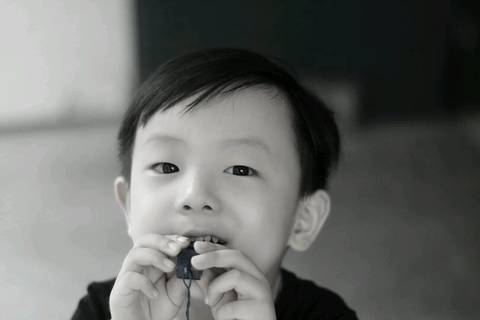 journal_insert_pic_780832512