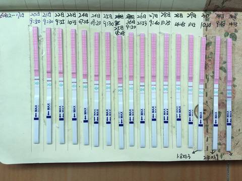 journal_insert_pic_781651845
