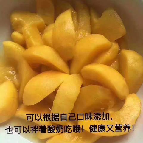 journal_insert_pic_781908229