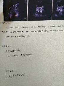 journal_insert_pic_781530645