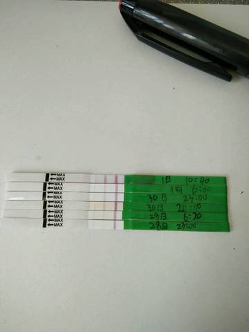 journal_insert_pic_781494760