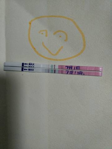 journal_insert_pic_781904487