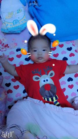journal_insert_pic_782159036