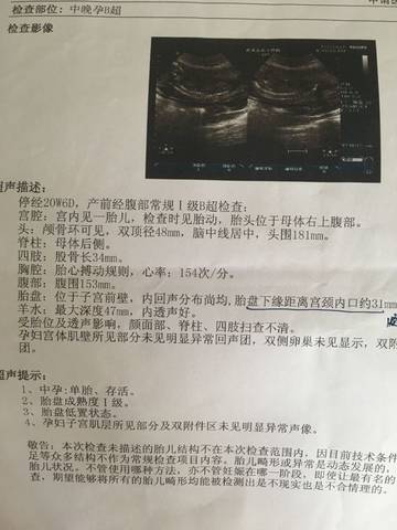 journal_insert_pic_782956953