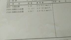 journal_insert_pic_783200595