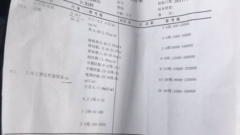 journal_insert_pic_783143209