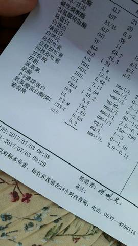 journal_insert_pic_783294114