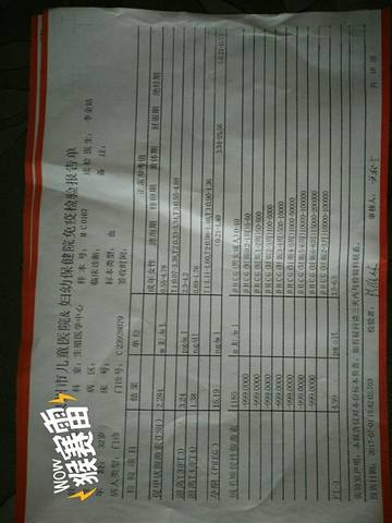 journal_insert_pic_782968438