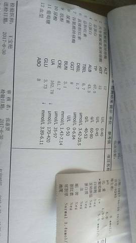 journal_insert_pic_783310086