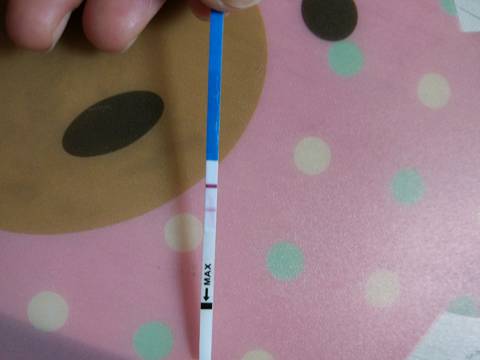 journal_insert_pic_783826650