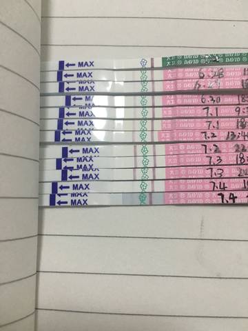 journal_insert_pic_784318853