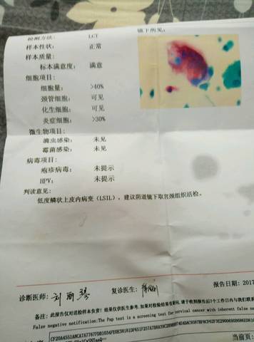 journal_insert_pic_784141188