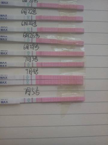 journal_insert_pic_784568085