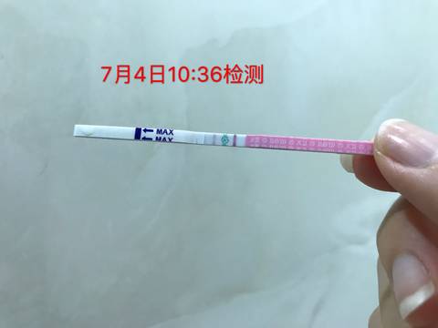 journal_insert_pic_784677642