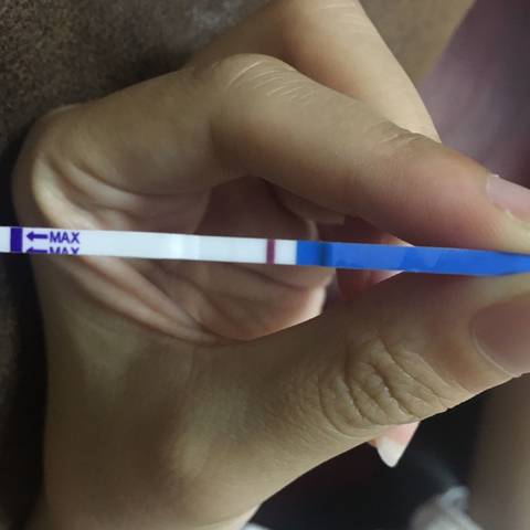 journal_insert_pic_785756018