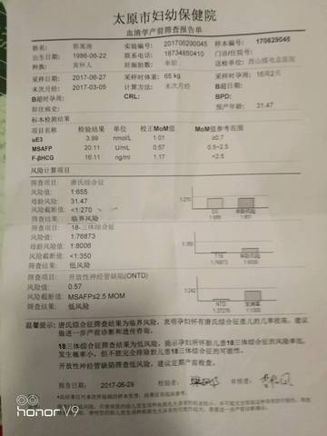 journal_insert_pic_786425341