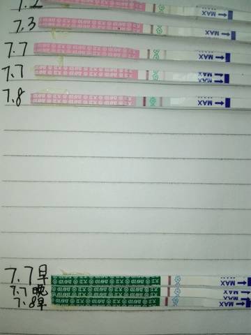 journal_insert_pic_786839162