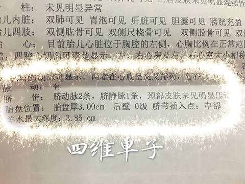 journal_insert_pic_787216461