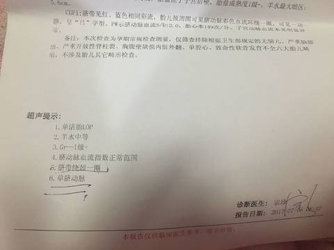 journal_insert_pic_787216444