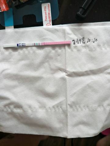 journal_insert_pic_787562691