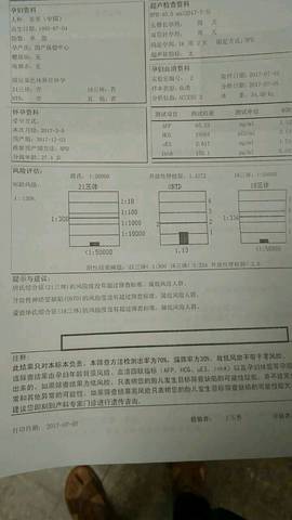 journal_insert_pic_787495418