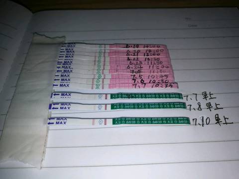 journal_insert_pic_788321345