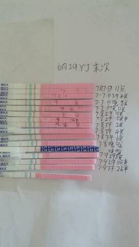 journal_insert_pic_789281641