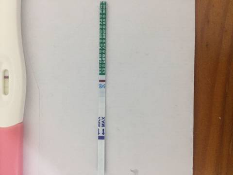 journal_insert_pic_789157064
