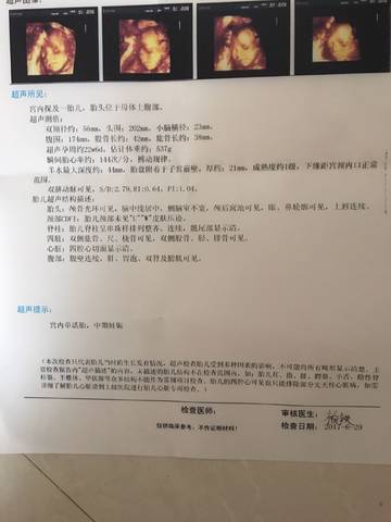journal_insert_pic_789147924
