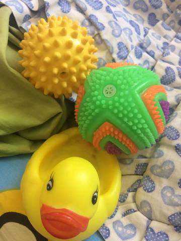 journal_insert_pic_789315081