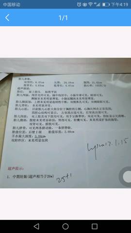 journal_insert_pic_790371207
