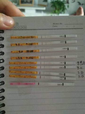 journal_insert_pic_790900441