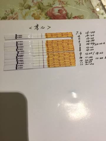journal_insert_pic_791217176