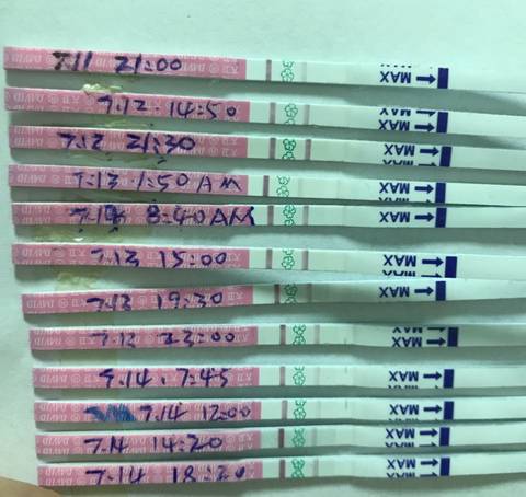 journal_insert_pic_791767959