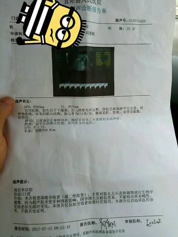 journal_insert_pic_792116223