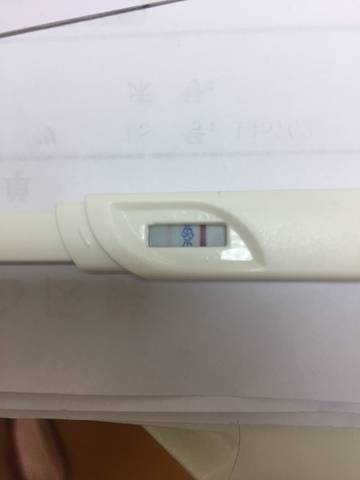 journal_insert_pic_792084542