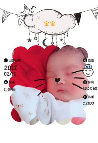 journal_insert_pic_792927471