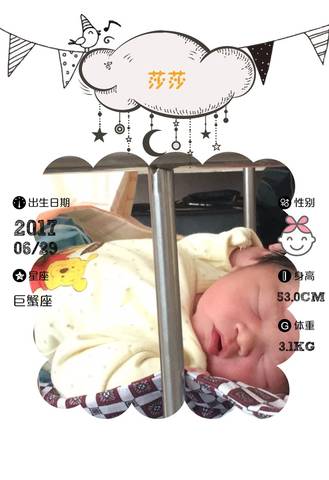 journal_insert_pic_793911551