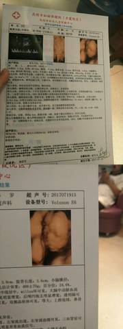 journal_insert_pic_795376638