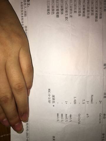 journal_insert_pic_795371924