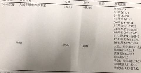 journal_insert_pic_795287260