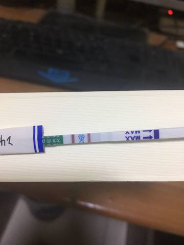 journal_insert_pic_794802047