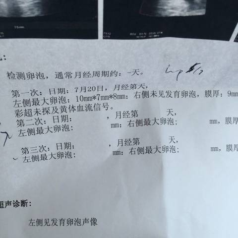 journal_insert_pic_795591616