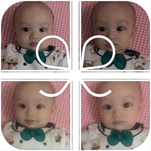 journal_insert_pic_796258347