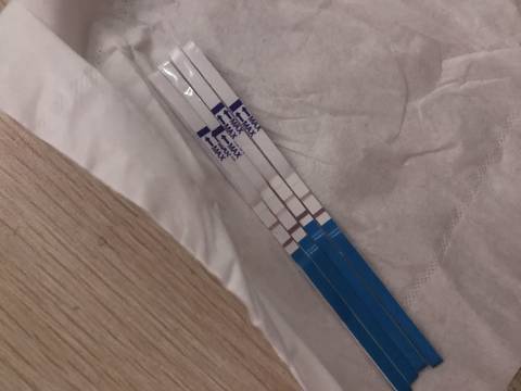 journal_insert_pic_796313745