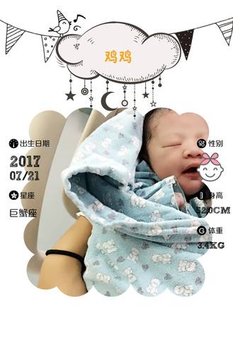 journal_insert_pic_797311624